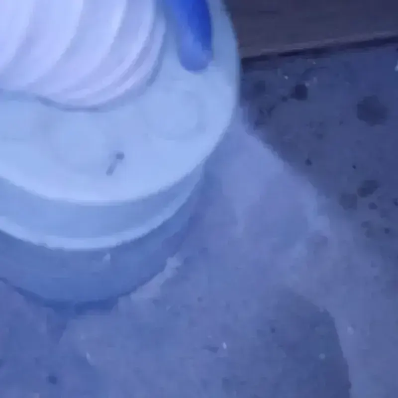 북이면 빌라 3층 세탁실
